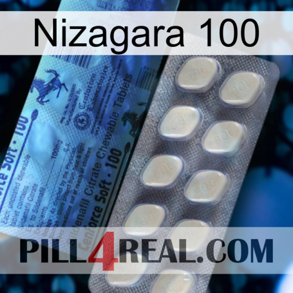Nizagara 100 34